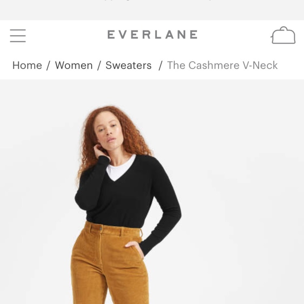Everlane Black Cashmere V Neck Sweater
